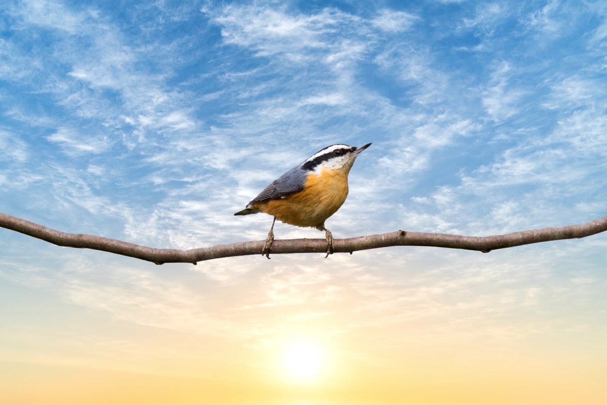 Stacks Image 4504164