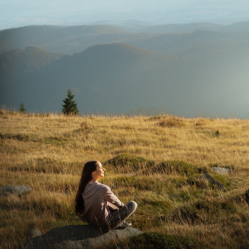 Stacks Image 4504186