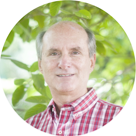 Stacks Image 4505634