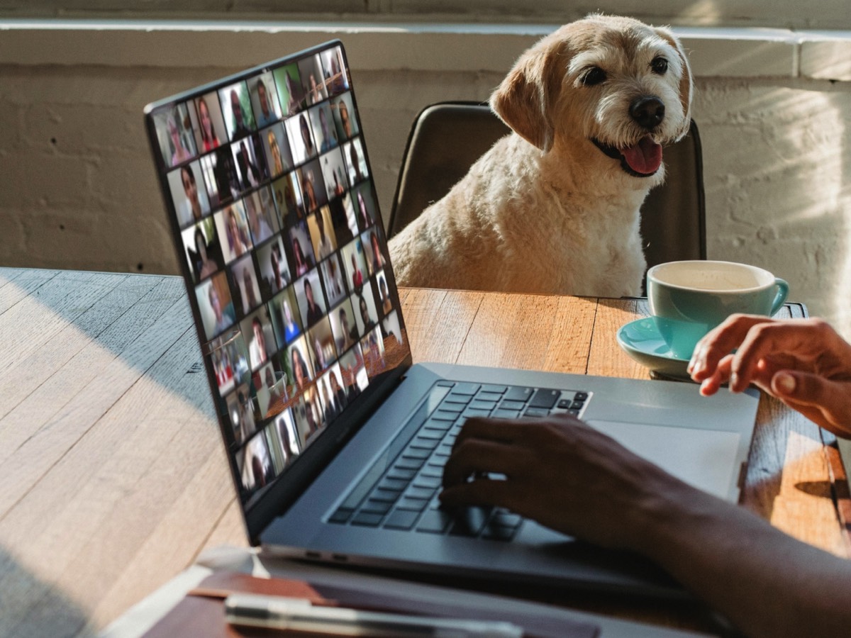 Stacks Image 4503599