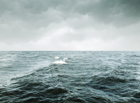 Stacks Image 4502347