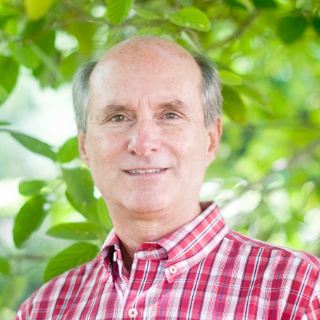 Stacks Image 4503994